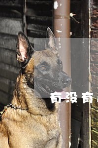 有没有房贷逾期的照片