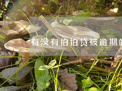 有没有拍拍贷被逾期的 有没有拍拍贷被逾期的