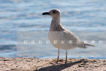 有没有招联好期贷逾期的视频 有没有招联好期贷逾期的视频