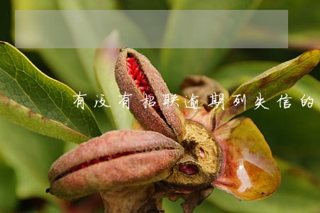 有没有招联逾期列失信的