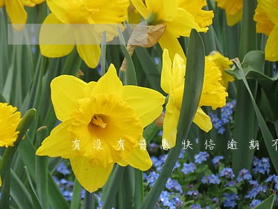 有没有普惠快信逾期不还的 有没有普惠快信逾期不还的