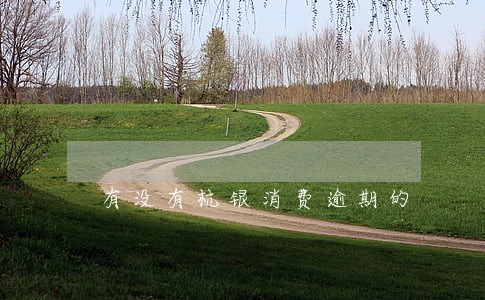 有没有杭银消费逾期的 有没有杭银消费逾期的