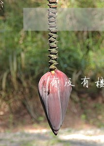 有没有楼顶管理的法律法规 有没有楼顶管理的法律法规