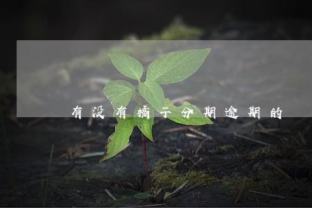 有没有橘子分期逾期的 有没有橘子分期逾期的