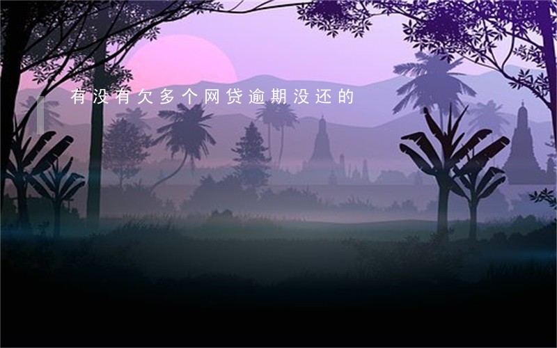 有没有欠多个网贷逾期没还的 有没有欠多个网贷逾期没还的