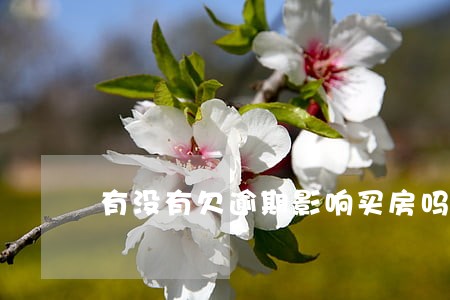 有没有欠逾期影响买房吗 有没有欠逾期影响买房吗
