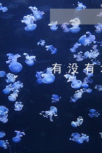 有没有水象分期逾期几个月的 有没有水象分期逾期几个月的