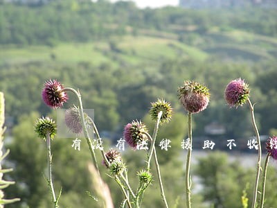 有没有法律援助不收钱的 有没有法律援助不收钱的