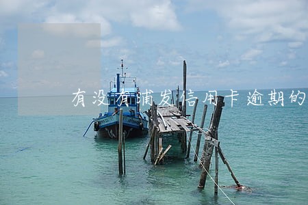 有没有浦发信用卡逾期的 有没有浦发信用卡逾期的