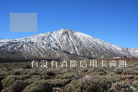 有没有消除信用卡逾期 有没有消除信用卡逾期