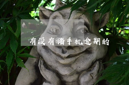 有没有猪手机逾期的 有没有猪手机逾期的