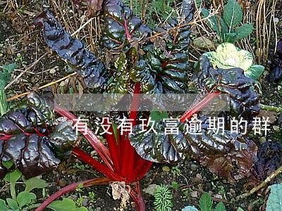 有没有玖富逾期的群 有没有玖富逾期的群