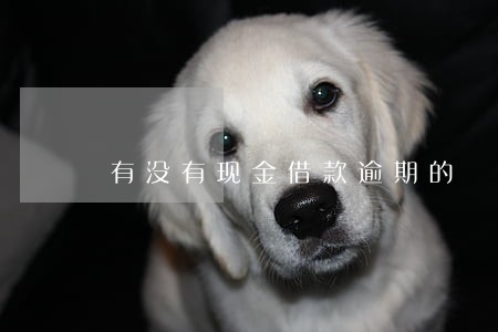 有没有现金借款逾期的 有没有现金借款逾期的