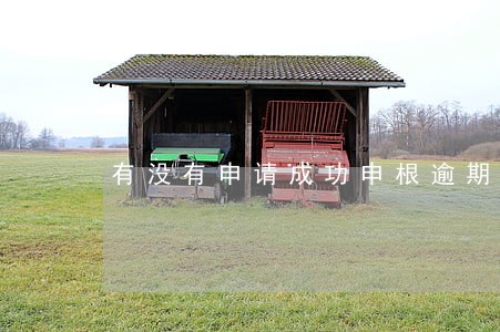 有没有申请成功申根逾期 有没有申请成功申根逾期