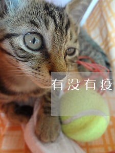 有没有疫情期间信用卡逾期的 有没有疫情期间信用卡逾期的
