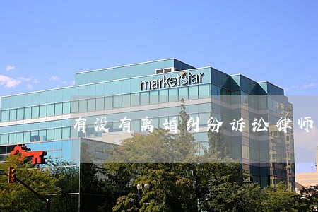有没有离婚纠纷诉讼律师 有没有离婚纠纷诉讼律师