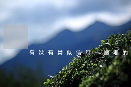 有没有类似信用卡逾期的软件
