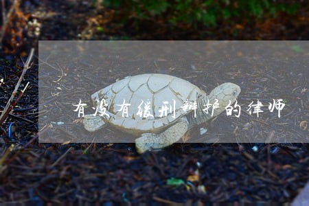 有没有缓刑辩护的律师 有没有缓刑辩护的律师
