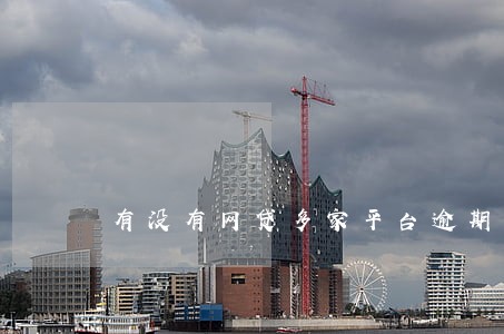 有没有网贷多家平台逾期 有没有网贷多家平台逾期