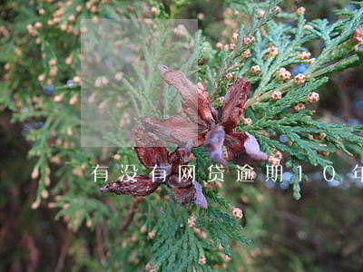 有没有网贷逾期10年的 有没有网贷逾期10年的