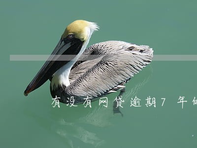 有没有网贷逾期7年的 有没有网贷逾期7年的