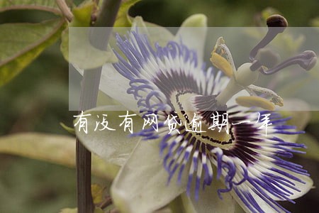 有没有网贷逾期一年 有没有网贷逾期一年