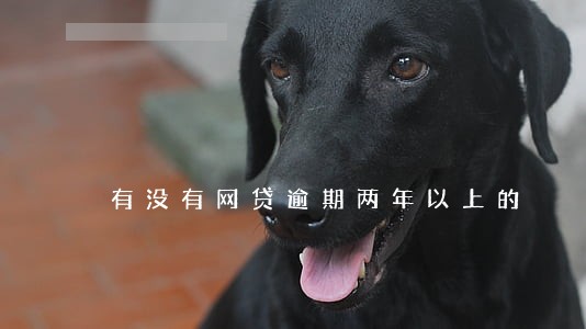 有没有网贷逾期两年以上的 有没有网贷逾期两年以上的