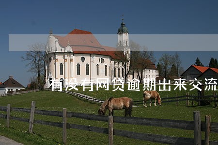 有没有网贷逾期出来交流的呀