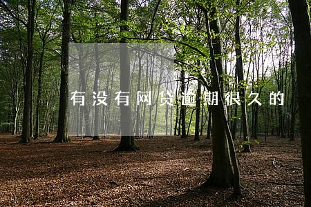 有没有网贷逾期很久的 有没有网贷逾期很久的