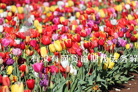 有没有网贷逾期找法务解决的 有没有网贷逾期找法务解决的