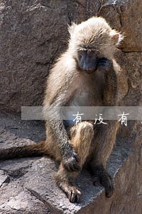 有没有网贷逾期被寄信的 有没有网贷逾期被寄信的