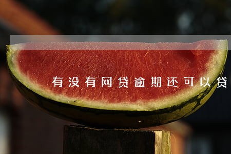 有没有网贷逾期还可以贷款的 有没有网贷逾期还可以贷款的