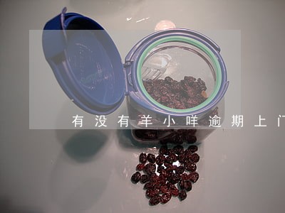 有没有羊小咩逾期上门的 有没有羊小咩逾期上门的