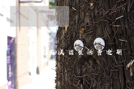 有没有美团生活费逾期 有没有美团生活费逾期