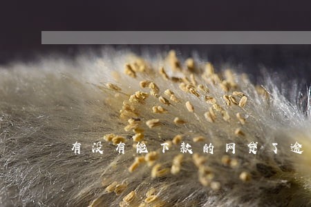 有没有能下款的网贷了逾期过 有没有能下款的网贷了逾期过