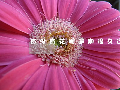有没有花呗逾期很久还完恢复的 有没有花呗逾期很久还完恢复的