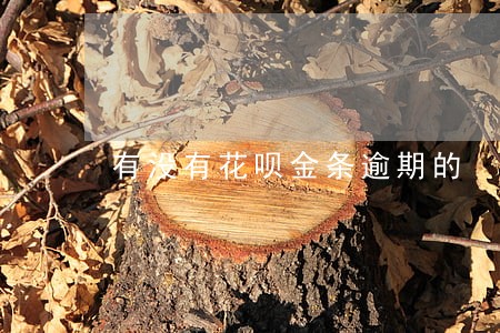 有没有花呗金条逾期的 有没有花呗金条逾期的