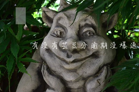 有没有芸豆分逾期没爆通讯录的 有没有芸豆分逾期没爆通讯录的