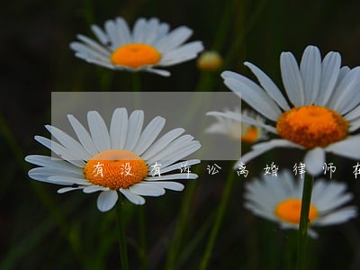 有没有诉讼离婚律师在线咨询服务 有没有诉讼离婚律师在线咨询服务