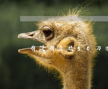 有没有负债50万逾期几年的 有没有负债50万逾期几年的