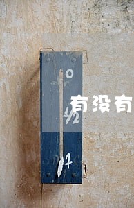 有没有贷款123逾期