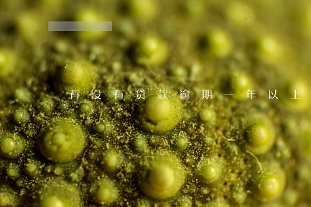 有没有贷款逾期一年以上的 有没有贷款逾期一年以上的