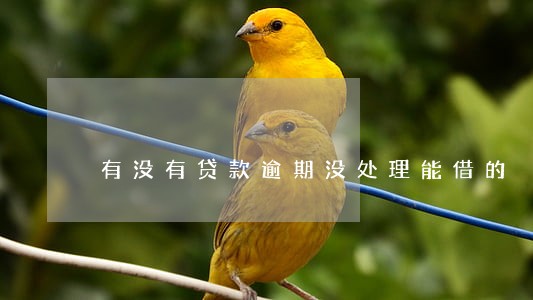 有没有贷款逾期没处理能借的 有没有贷款逾期没处理能借的