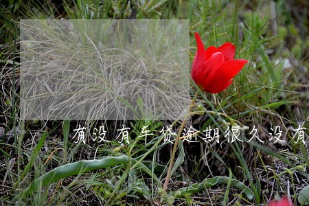 有没有车贷逾期很久没有拖车 有没有车贷逾期很久没有拖车