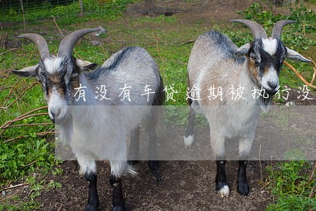 有没有车贷逾期被执行没有收车的