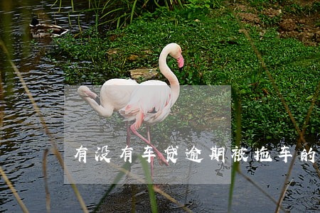 有没有车贷逾期被拖车的 有没有车贷逾期被拖车的