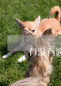 有没有逾期5年信用卡的 有没有逾期5年信用卡的