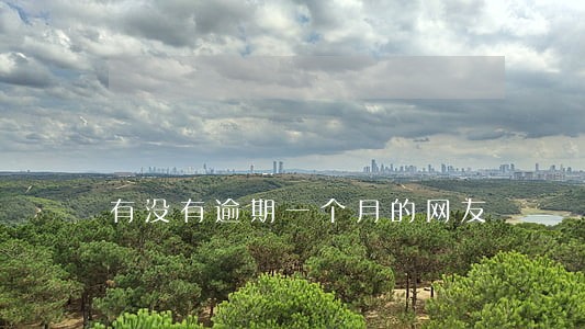 有没有逾期一个月的网友