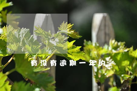 有没有逾期一年的 有没有逾期一年的