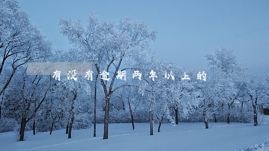 有没有逾期两年以上的 有没有逾期两年以上的